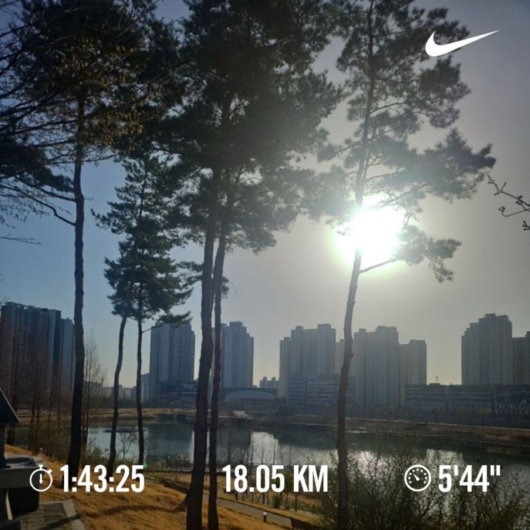 매일 10km 러닝 챌린지 1325일 차