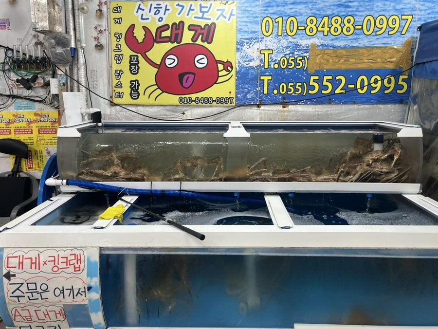 신항가보자대게 사진 2