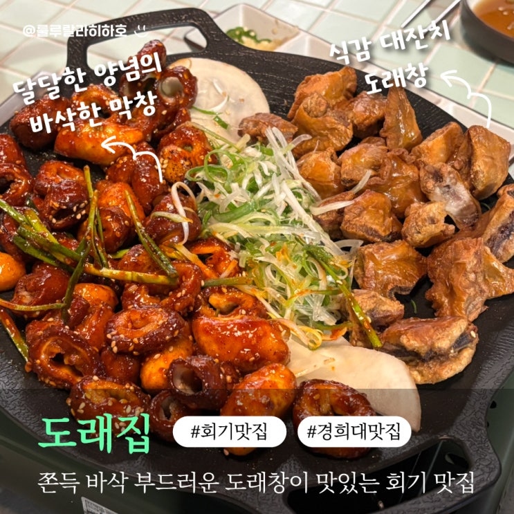  회기 맛집 경희대 맛집으로 유명한 도래집