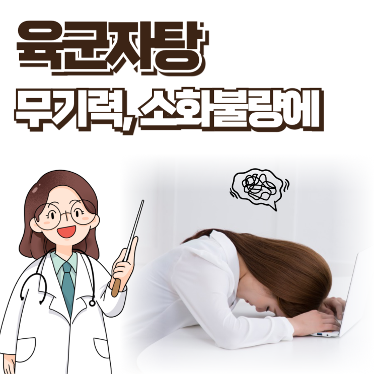  육군자탕 효능 보험 소화불량에
