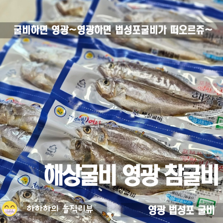  영광굴비20미 법성포 해상굴비 냉동굴비 굽기