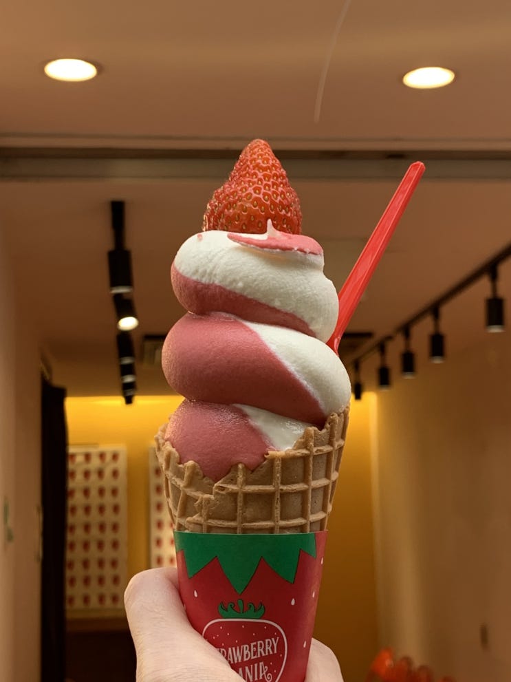  딸기맛이 진한 아이스크림 맛집 [스트로베리 매니아/마니아] [난바근처 디저트]