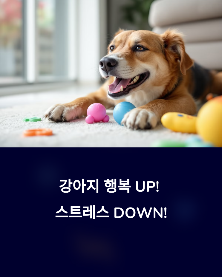  산책, 노조 워크, 마사지! 강아지 행복 UP! 스트레스 DOWN! 비법 공개!