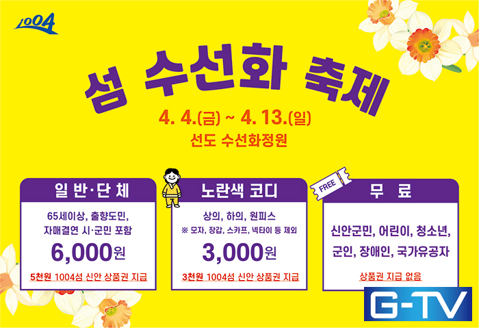  신안, 황금빛 수선화 물결로 봄을 채우다! '2025 섬 수선화 축제' 개최 - 광주뉴스TV