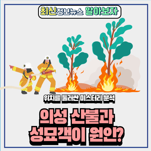  의성 산불 성묘객이 실화? 원인과 처벌수위는?