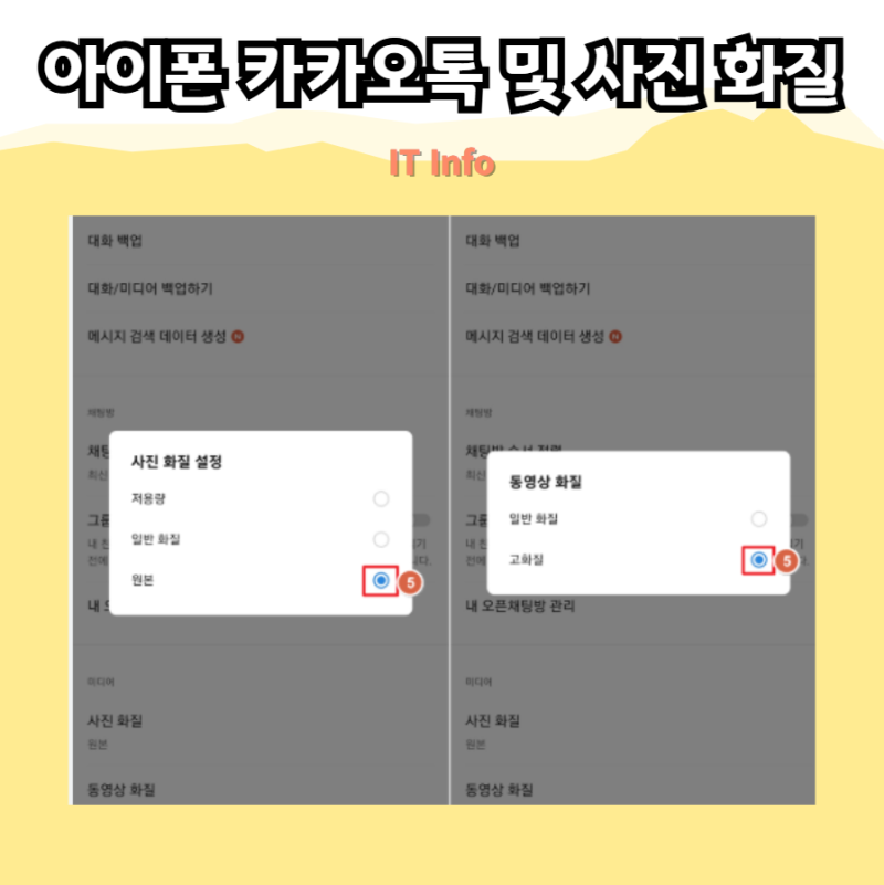 아이폰 SE1 카카오톡 및 사진 화질! 최신 iOS 지원 여부 확인
