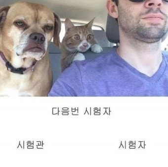 부산 북부운전면허시험장 도로주행 코스별 꿀팁과 영상추천 학원 안다니고 합격하는 꿀팁