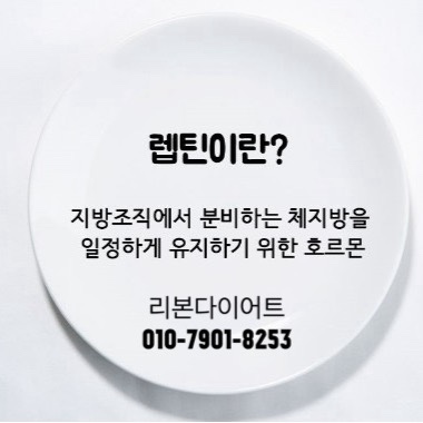  먹어도 또배고파!! 몸이 보내는 오류~! 온열찜질 리본에서 다시태어나자