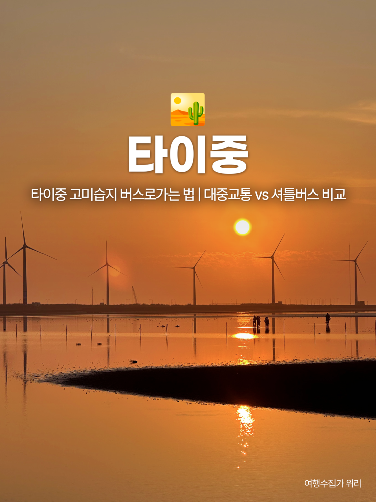  타이중 고미습지 투어 없이 버스로가는 법 | 대중교통 vs 셔틀버스 솔직 후기 일몰 시간