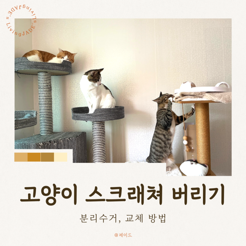 고양이 스크래쳐 버리기 분리수거 방법