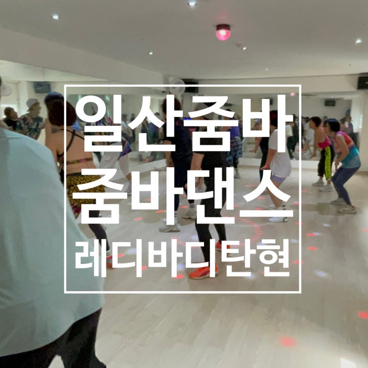  일산 줌바 아자아자 신나는 줌바댄스 칼로리 지방 불태워요
