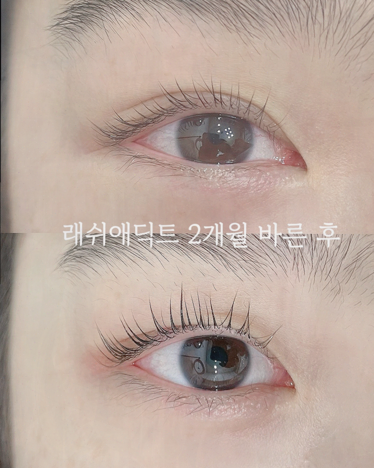  처음 방문, 천호 속눈썹 연장으로 만족한 블랙래쉬 천호점