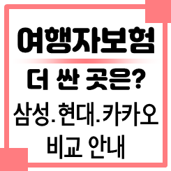 해외 여행자보험 비교: 다이렉트 여행자보험 가격 비용 싼곳 비교(삼성화재 현대해상 카카오....