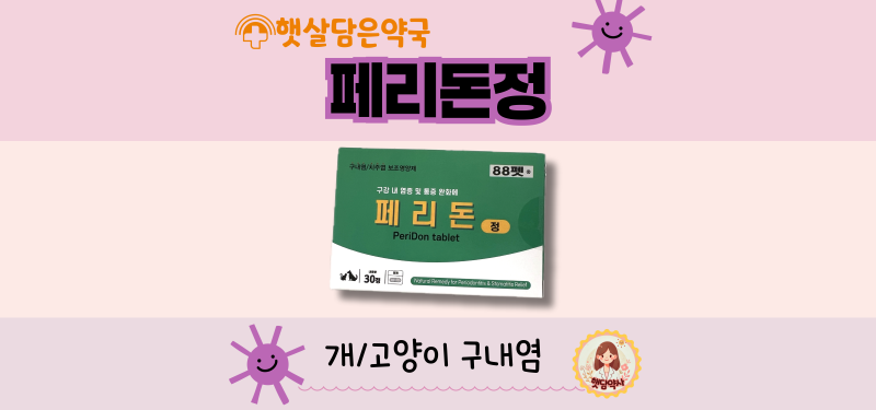 [페리돈정] 고양이구내염 강아지구내염/이수역 햇살담은약국