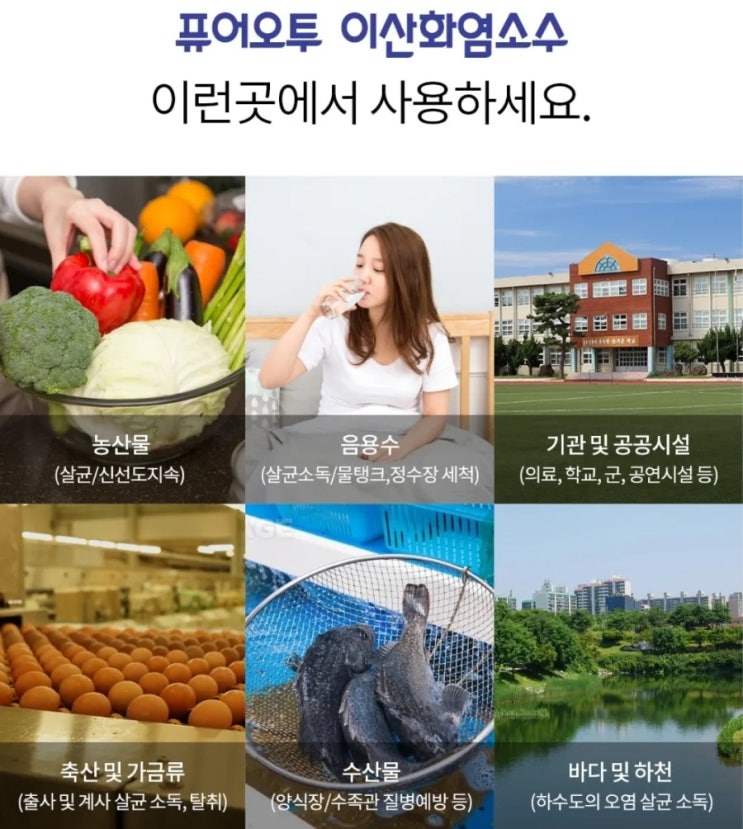  수산물 가공 유통, 이제 퓨어오투 이산화염소수로 안심하고 깨끗하게! 바이러스와 세균 걱정 끝, 악취까지 말끔하게!