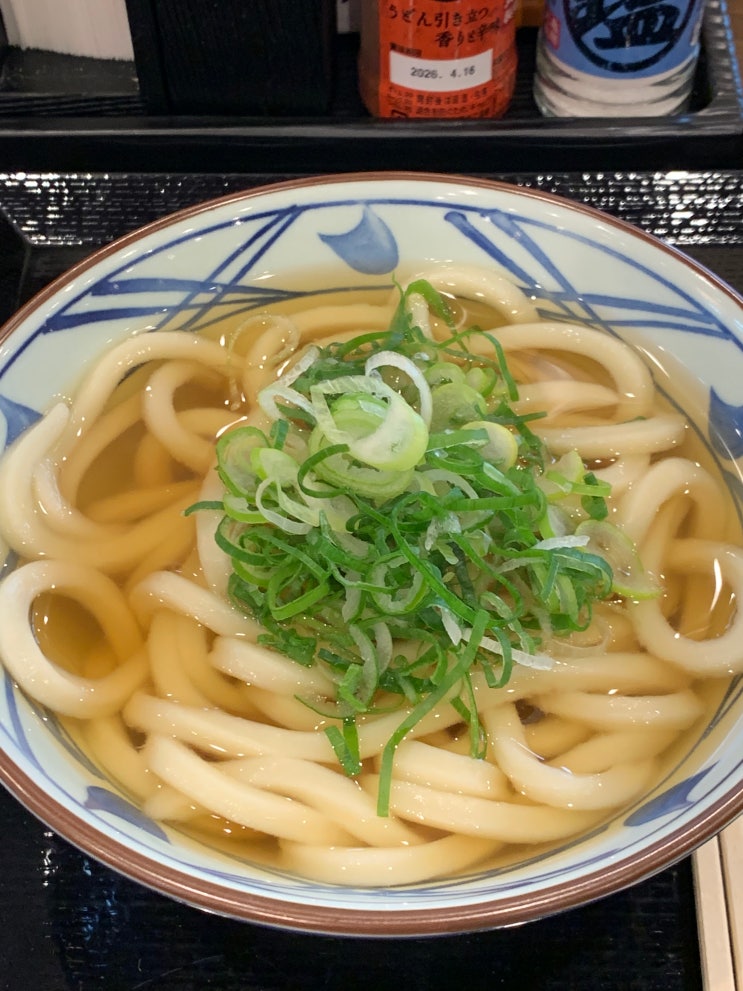  쫄깃 폭발! 우동 맛집 오사카 난바 [마루가메제면]