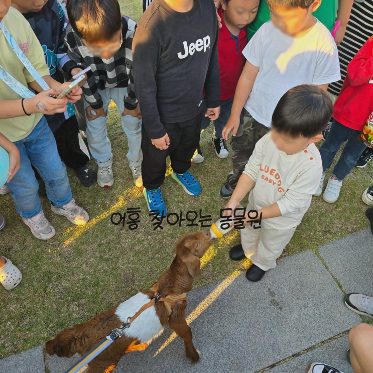  초등학교 특별 행사, 어흥이벤트의 찾아오는 동물원으로 아이들이 즐거운 체험을!