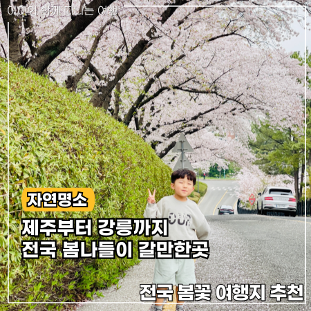  봄나들이 갈만한곳 봄꽃 여행지 추천