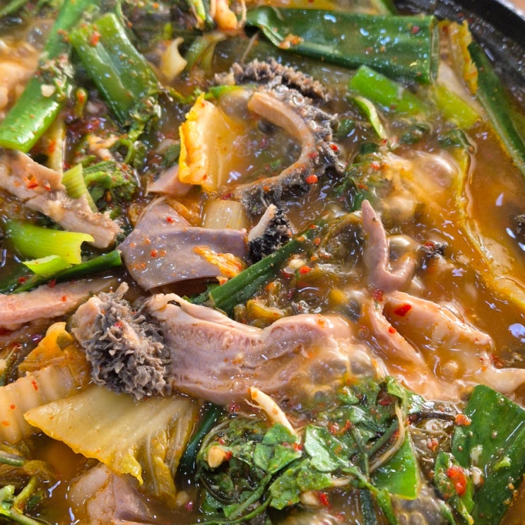  태안 해장국 맛집 봉숙이네 국밥 속풀기 딱 좋은 내장전골 후기