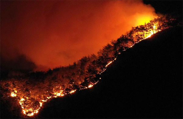 <b>산청</b> <b>산불</b>, <b>지리산국립공원</b>까지 뚫렸다…진화율 75%, 피해... 