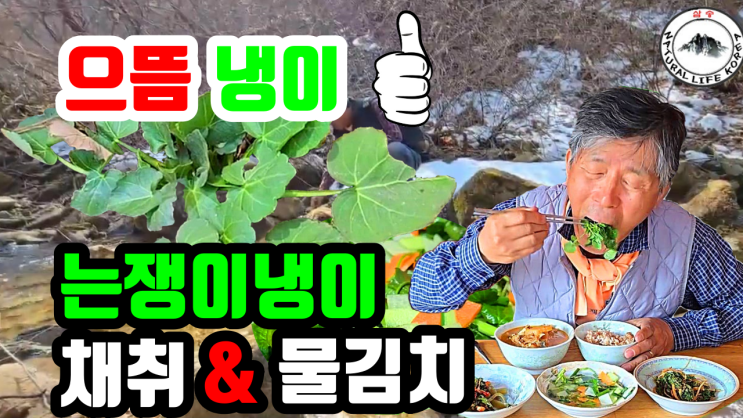 는쟁이냉이 산행과 물김치 담기