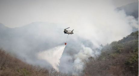 <b>산불 피해 주민</b>을 위한 지방재정 <b>지원</b> 제도