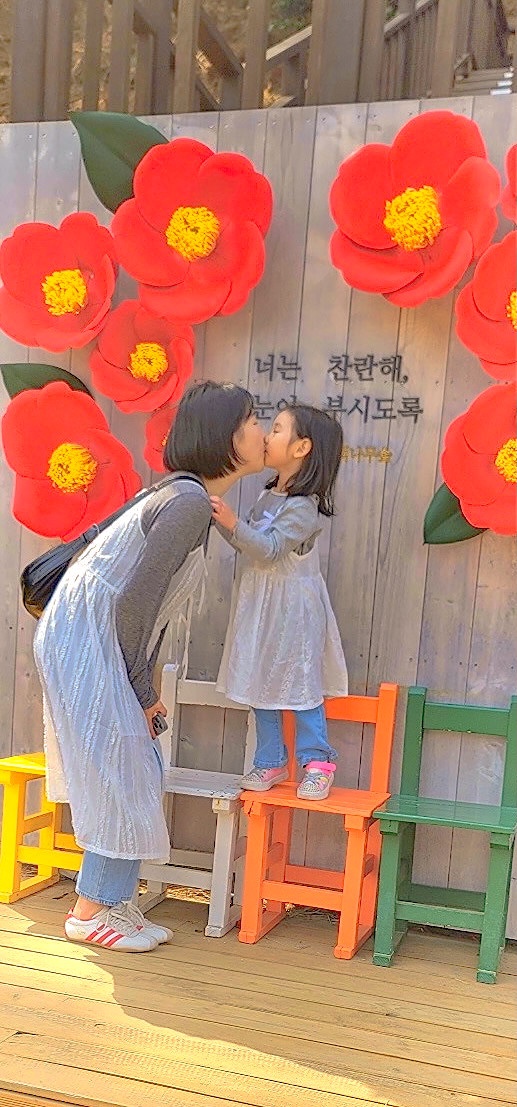  주말에 어디 가지? 서천 동백나무숲으로 데이트 코스 추천
