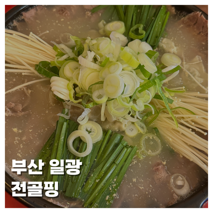  [FOOD]부산 일광 맛집 일광 분위기 좋은 술집 추천 스지 전골 김치찜 맛집 술 한잔하기 좋은 곳!