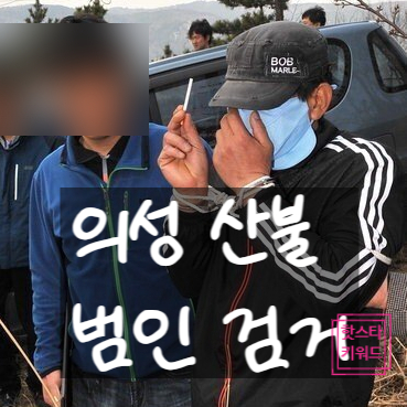  의성 산불 범인 잡았다! 성묘객 실화? 다른 의도 조사중!?