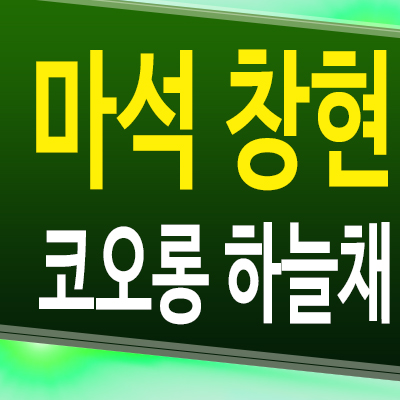  마석 창현 코오롱 하늘채 아파트 남양주 화도읍 모델하우스 공급조건