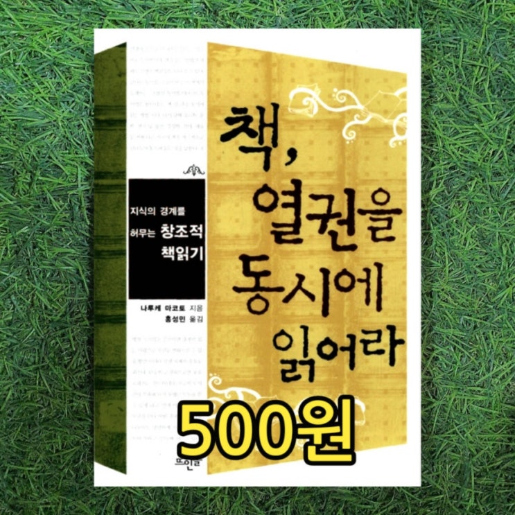  책, 열권을 동시에 읽어라 창조적 책읽기 500원 중고책 홍성민 교수 번역 무게로 헌책방 중고서점