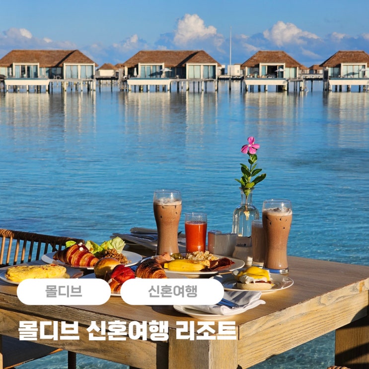  몰디브 신혼여행 럭셔리 리조트 추천 래디슨블루 올인클루시브