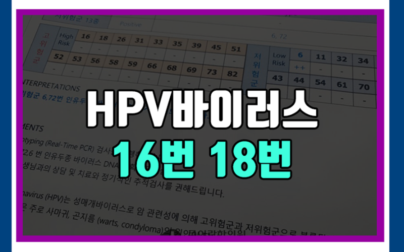 HPV바이러스 고위험군 16번 18번 일단 지켜보라고요?