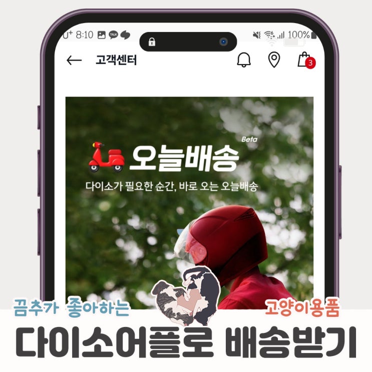  다이소 어플로 고양이방석 쇼핑하고 휴일도착 당일배송받기