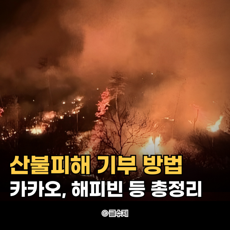 산불 피해 기부 카카오 해피빈 등 모금 방법 알아보기