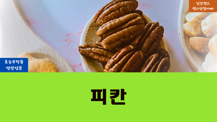  피칸 효능 부작용 및 영양성분