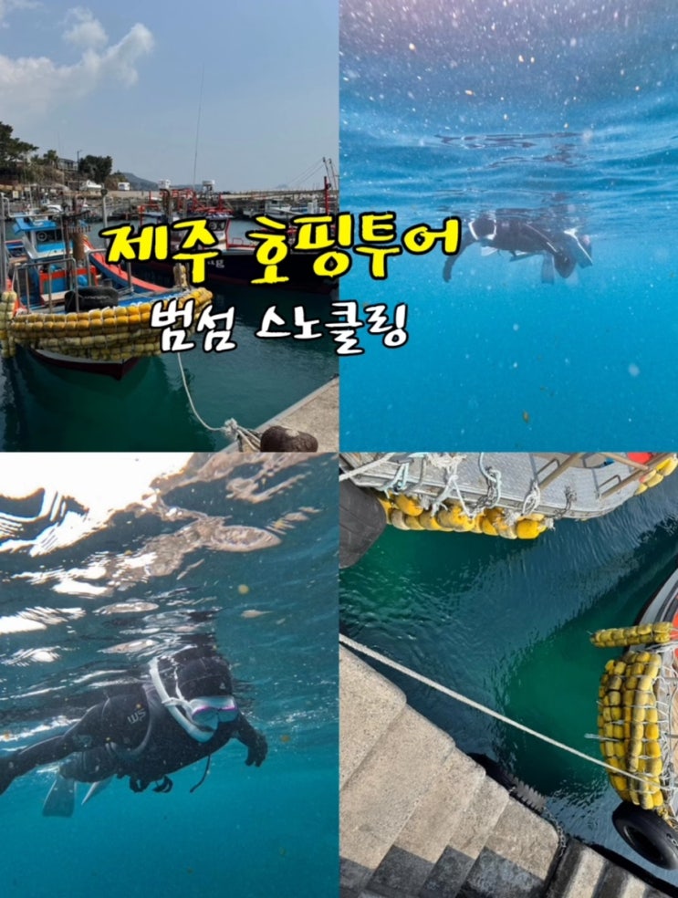  제주도 스노클링 제주 호핑투어 범섬 스노클링 3월 액티비티 후기(시야 수온 샤워)