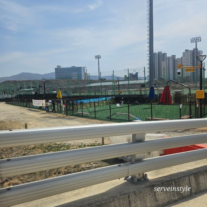 사진 5