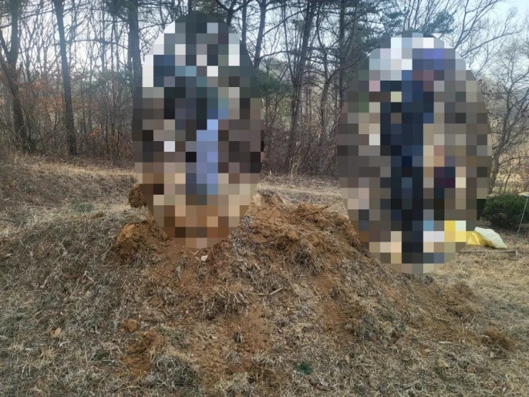  2025년 김천시 아포읍 파묘 화장후 시립추모공원 안치 고인돌장묘개발 #손없는날 #윤달 #벌초 #이하늘장사 #장의사 #이장 #화장 #김천윤달 #구미윤달 #선산윤달 #상주윤달
