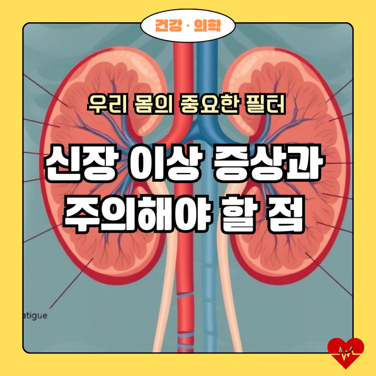  혹시 나도? 신장 이상 증상과 주의해야 할 점