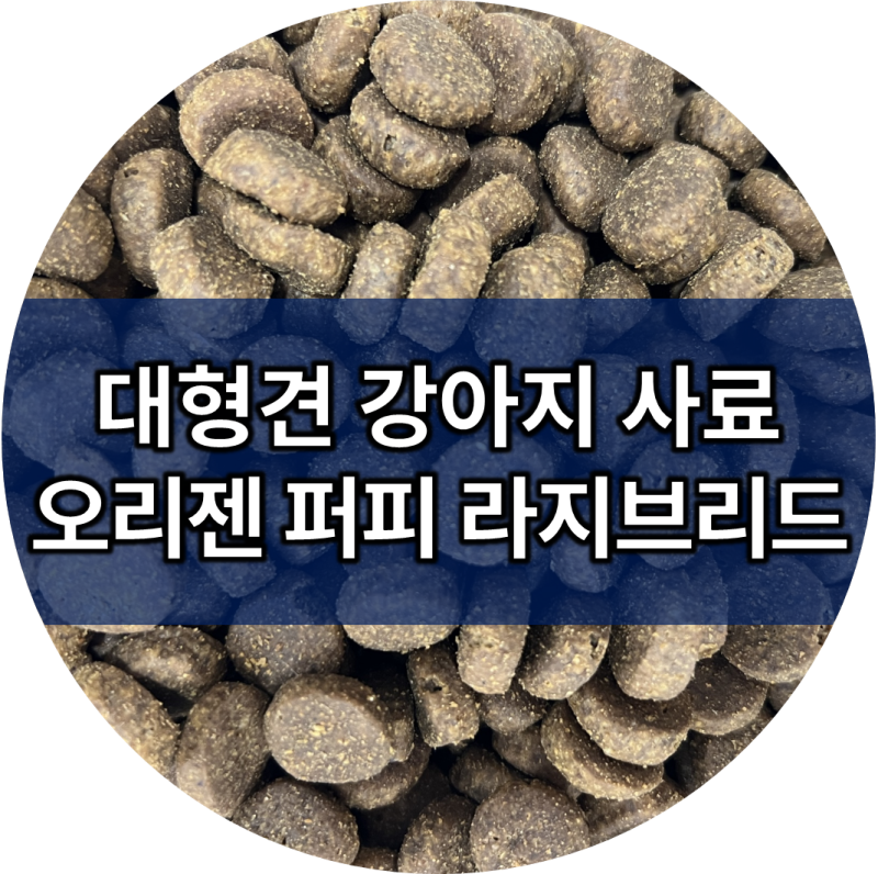 대형견 강아지 퍼피 사료 오리젠 퍼피 라지 브리드 알갱이 솔직 후기