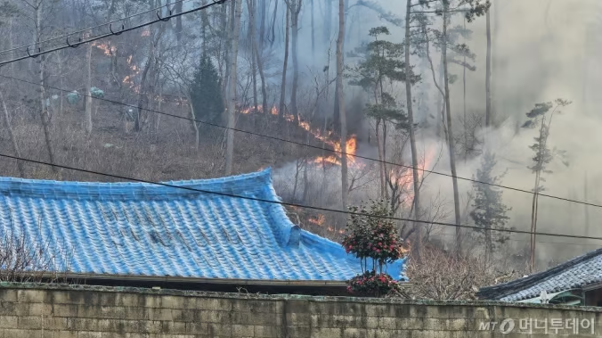 "산불에 보험신청도 쏟아져"…집·창고·축사 보상은 어떻게? "산불에 보험신청도 쏟아져"…집·창고·축사 보상은 어떻게?