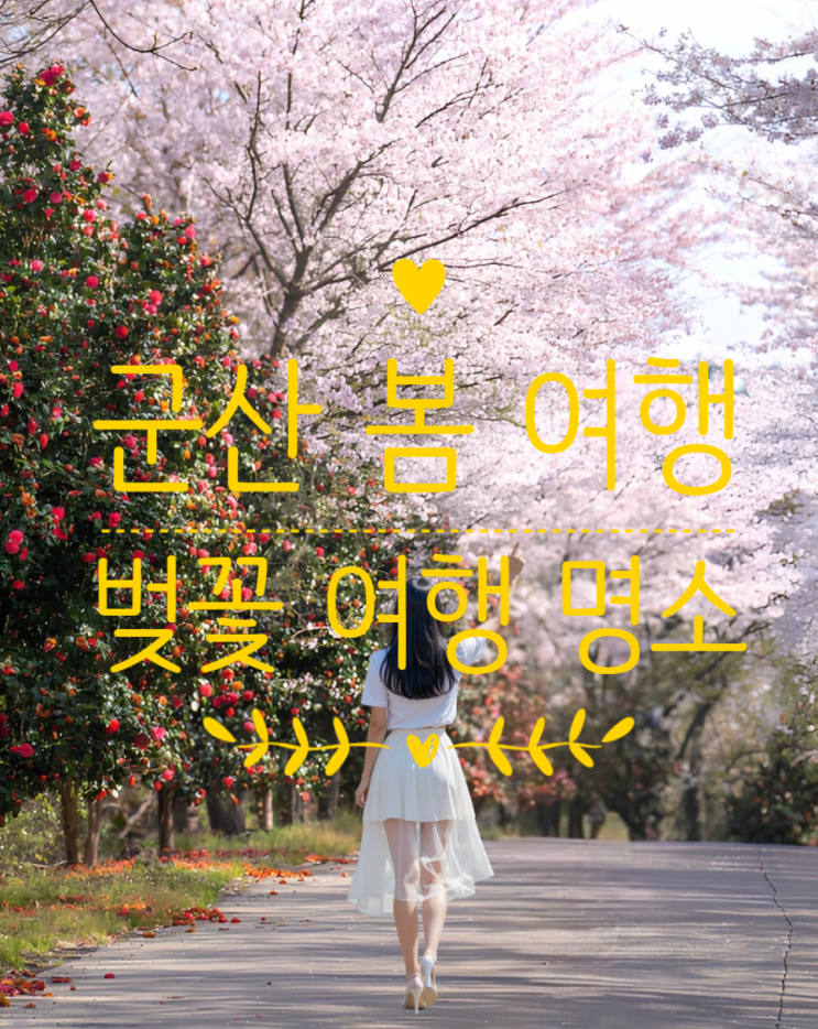  군산 벚꽃 여행 가이드: 2025년 봄 6대 명소