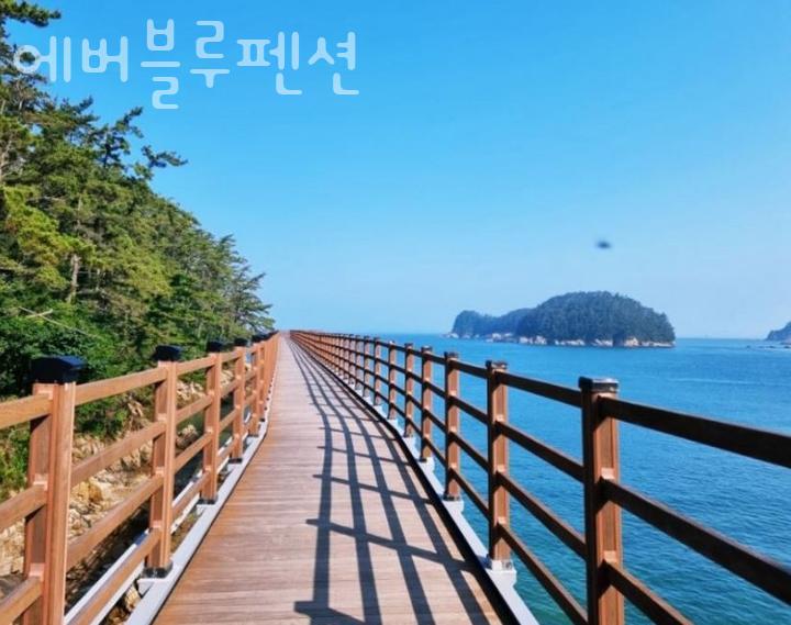 에버블루펜션 사진 4