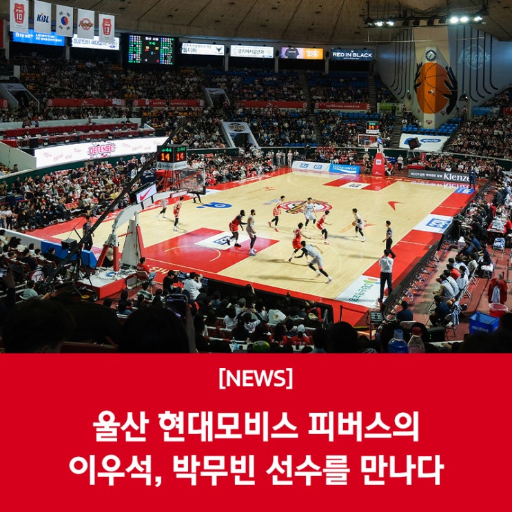 울산 <b>현대모비스</b> 피버스의 이우석, <b>박무빈</b> 선수를 만나다