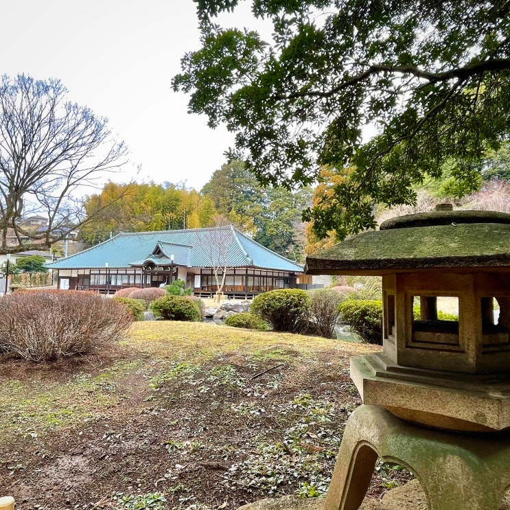  #250327 도쿄 여행 - 츠루카와 카고야마엔 鶴川香山園