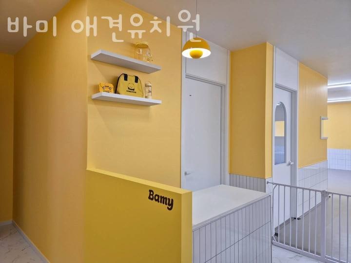 사진 3