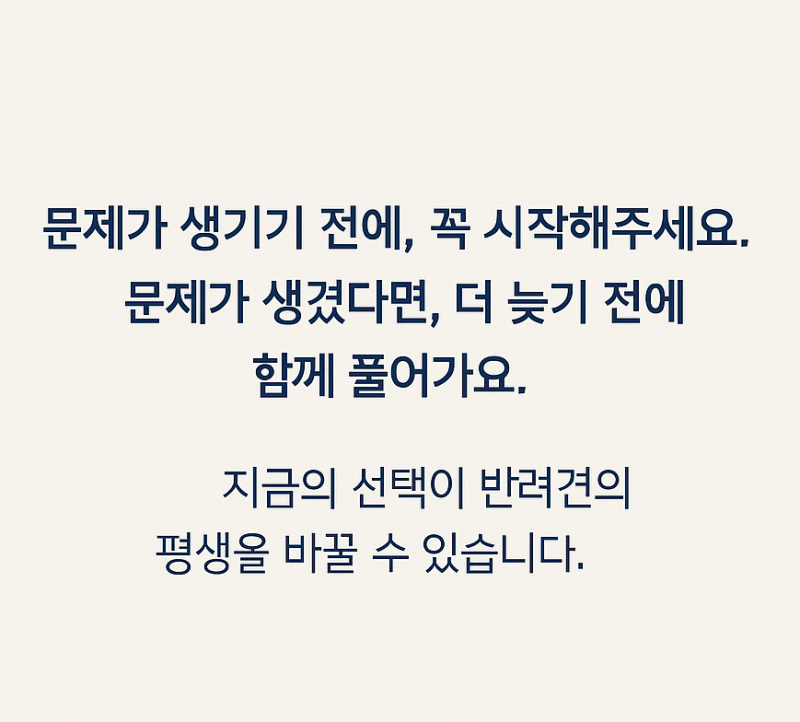 사진 5