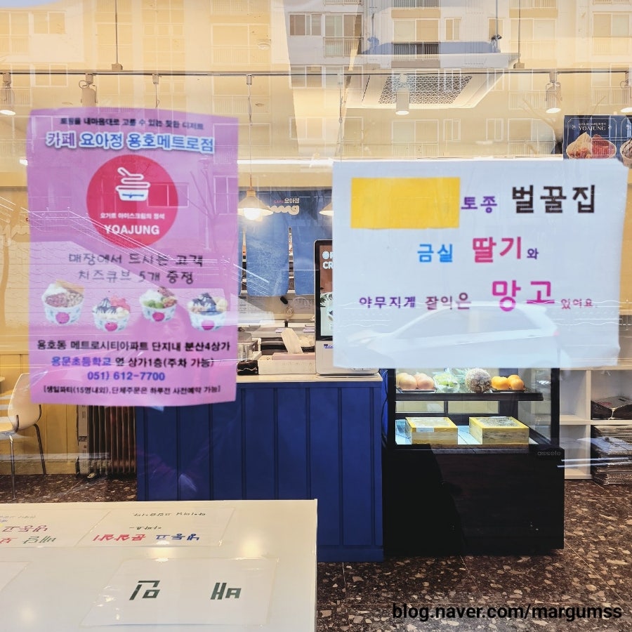 요거트아이스크림의정석 용호이기대점 사진 4