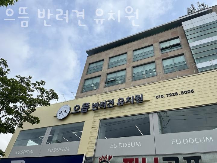 사진 2